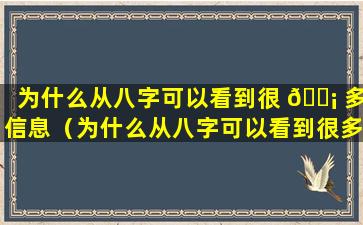 为什么从八字可以看到很 🐡 多信息（为什么从八字可以看到很多信息却看不到）